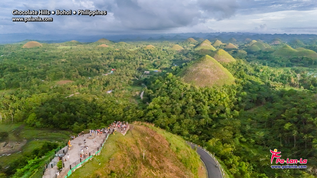 Chocolate Hills